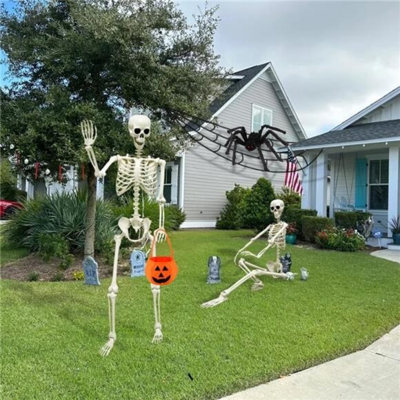 5.4ft/165cm Halloween Skeleton, Life Size Skeleton with Spider Pumpkin Bag